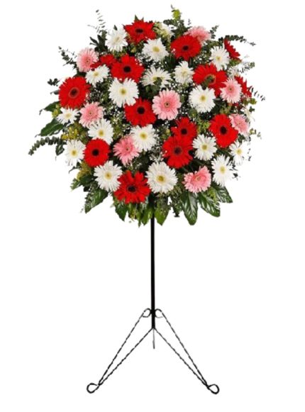 Renkli Gerbera Ferforje
